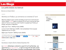 Tablet Screenshot of dalmuti.blog.24heures.ch